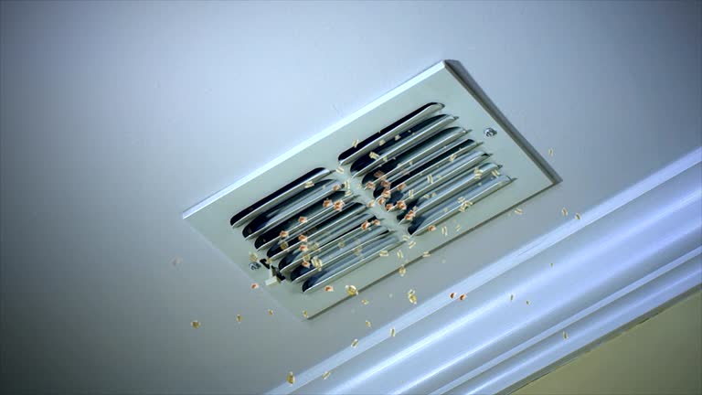 Best Residential Air Duct Cleaning  in Ankeny, IA