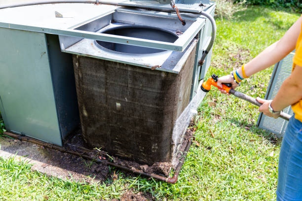 Best Air Duct Sanitizing Services  in Ankeny, IA