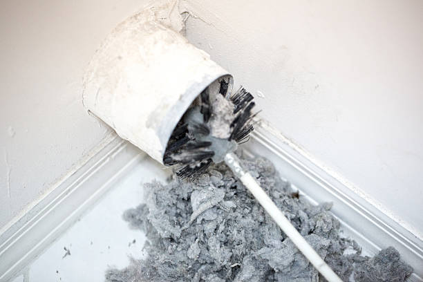 Best Commercial Air Duct Cleaning  in Ankeny, IA
