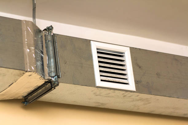 Best Affordable Air Duct Cleaning  in Ankeny, IA